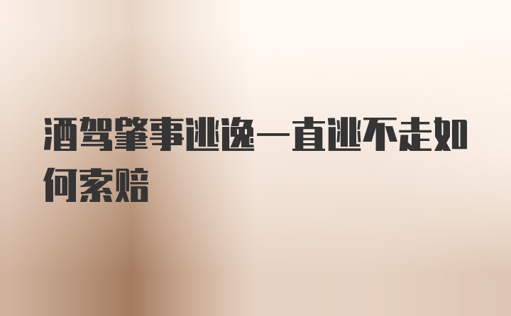 酒驾肇事逃逸一直逃不走如何索赔