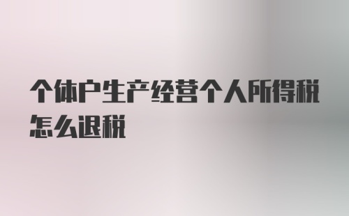 个体户生产经营个人所得税怎么退税