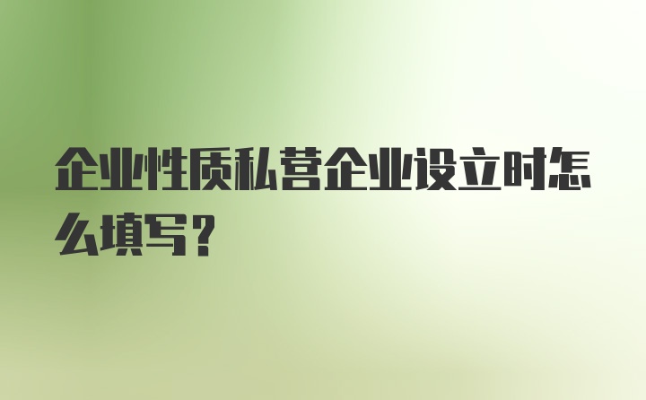 企业性质私营企业设立时怎么填写？