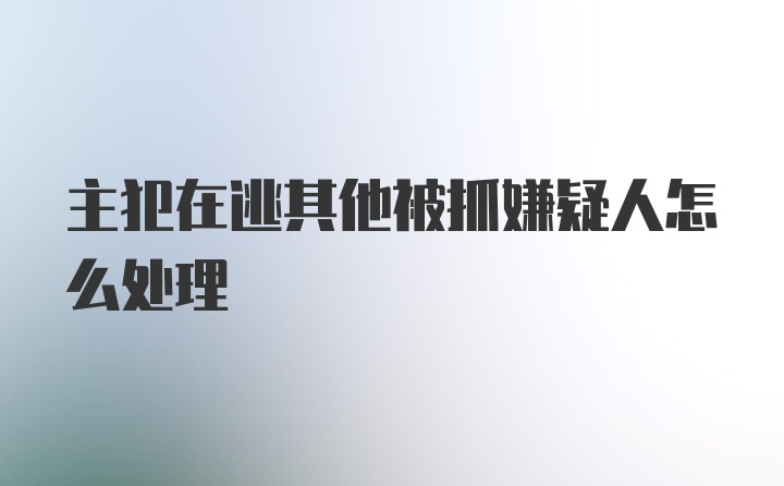 主犯在逃其他被抓嫌疑人怎么处理