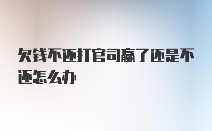 欠钱不还打官司赢了还是不还怎么办