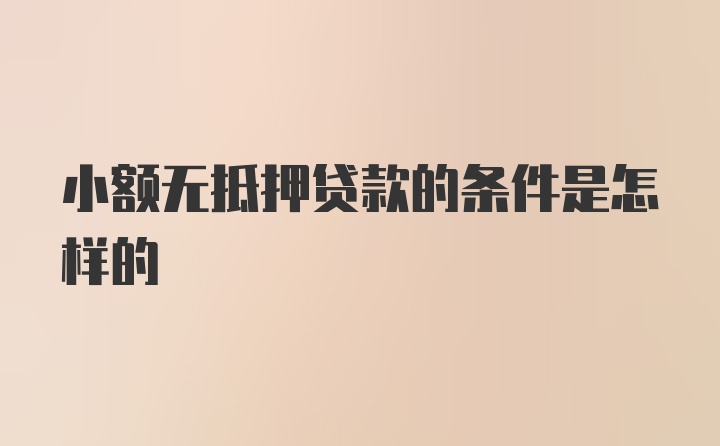 小额无抵押贷款的条件是怎样的