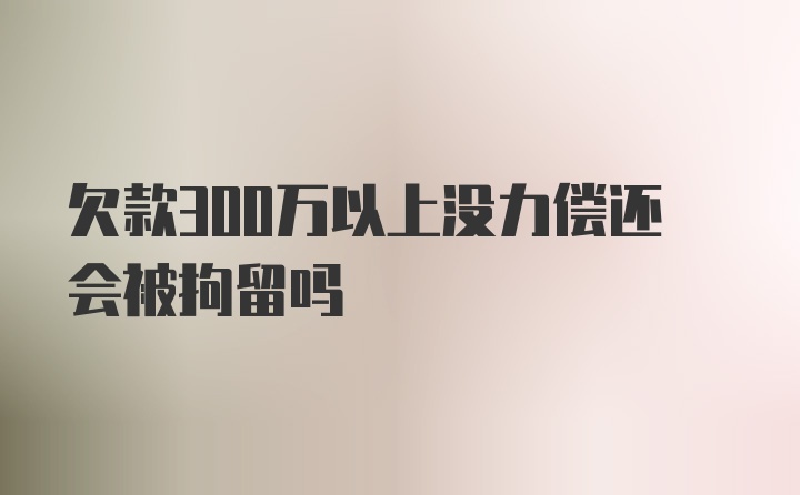 欠款300万以上没力偿还会被拘留吗