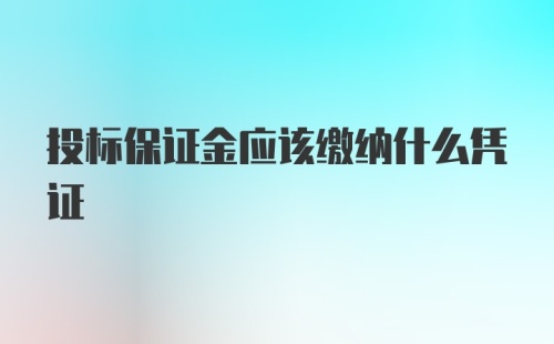 投标保证金应该缴纳什么凭证