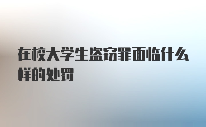 在校大学生盗窃罪面临什么样的处罚