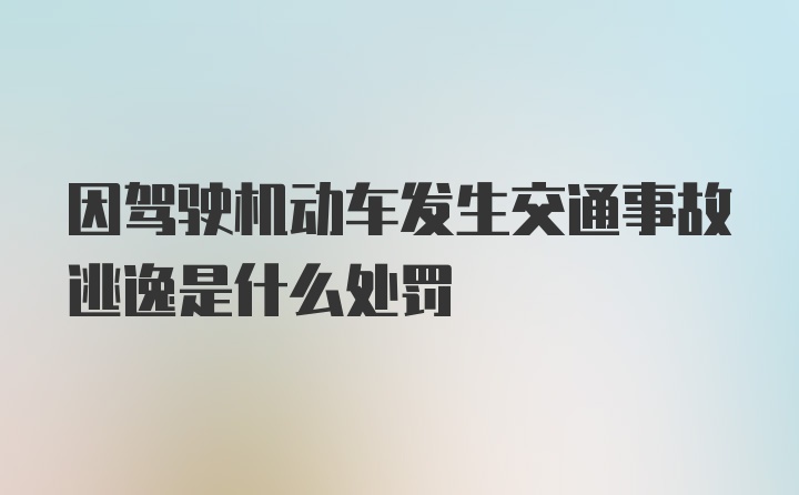 因驾驶机动车发生交通事故逃逸是什么处罚