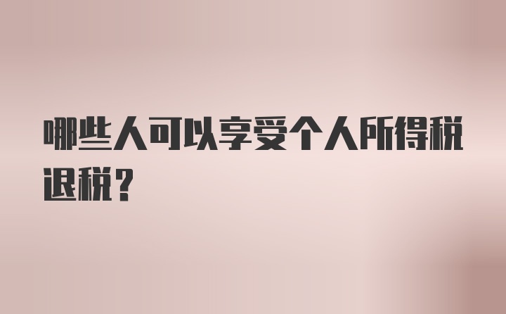 哪些人可以享受个人所得税退税?