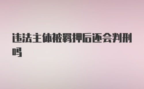 违法主体被羁押后还会判刑吗