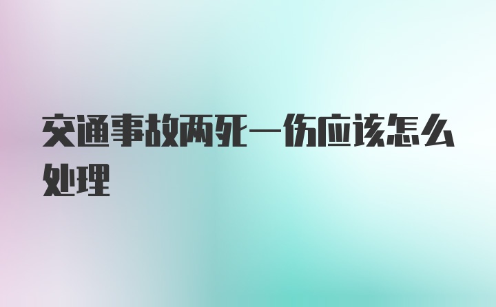 交通事故两死一伤应该怎么处理