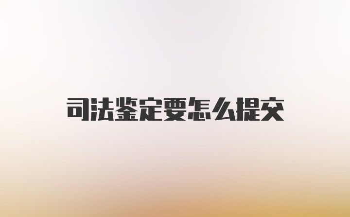 司法鉴定要怎么提交