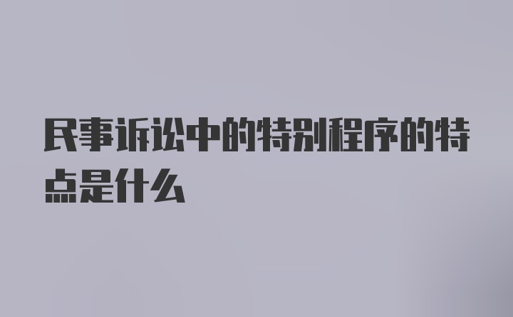 民事诉讼中的特别程序的特点是什么