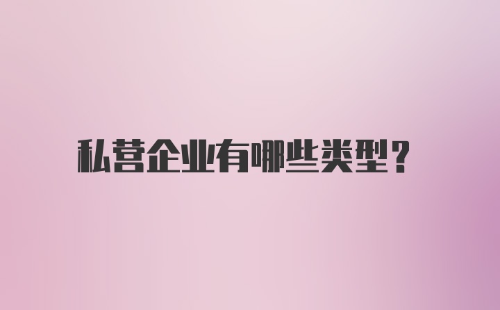 私营企业有哪些类型？