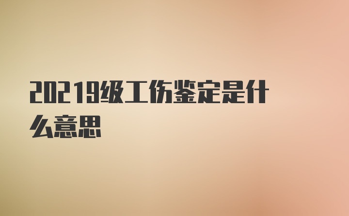 20219级工伤鉴定是什么意思