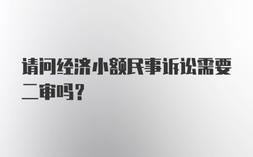 请问经济小额民事诉讼需要二审吗？