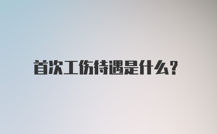 首次工伤待遇是什么？