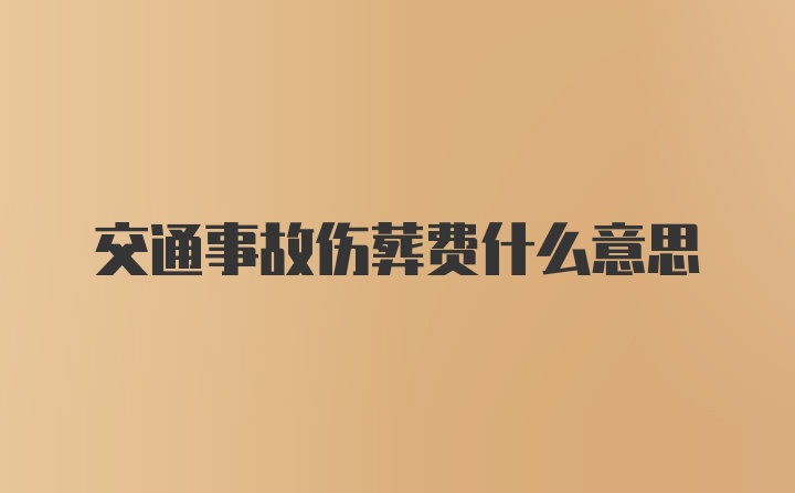 交通事故伤葬费什么意思