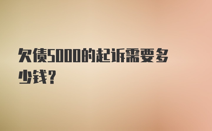 欠债5000的起诉需要多少钱？