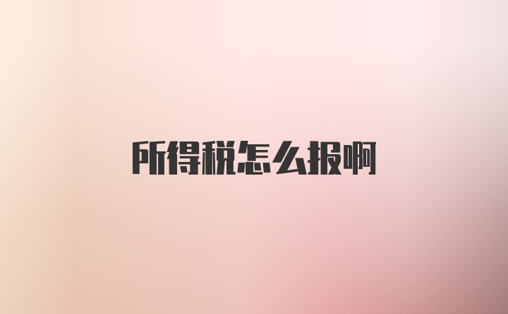 所得税怎么报啊