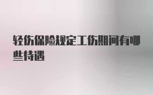 轻伤保险规定工伤期间有哪些待遇