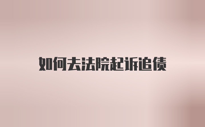 如何去法院起诉追债