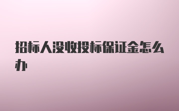 招标人没收投标保证金怎么办