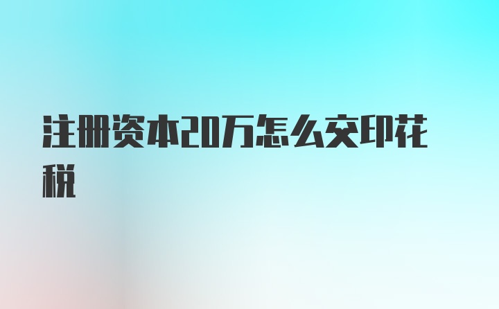 注册资本20万怎么交印花税