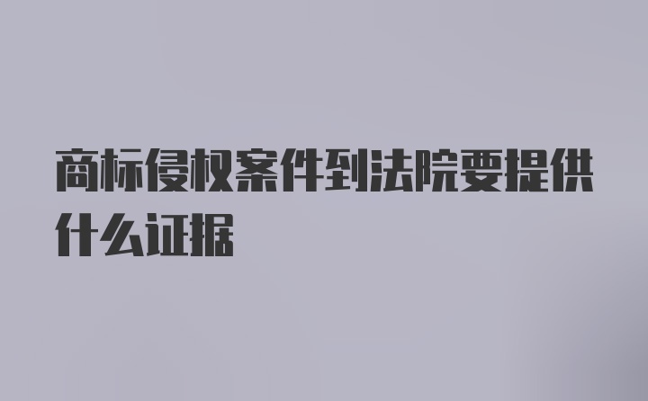 商标侵权案件到法院要提供什么证据