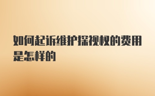 如何起诉维护探视权的费用是怎样的