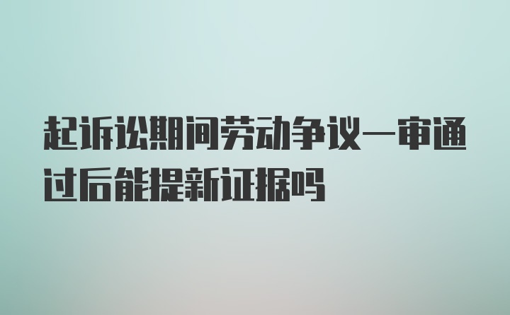 起诉讼期间劳动争议一审通过后能提新证据吗