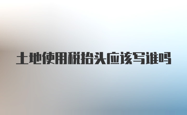 土地使用税抬头应该写谁吗