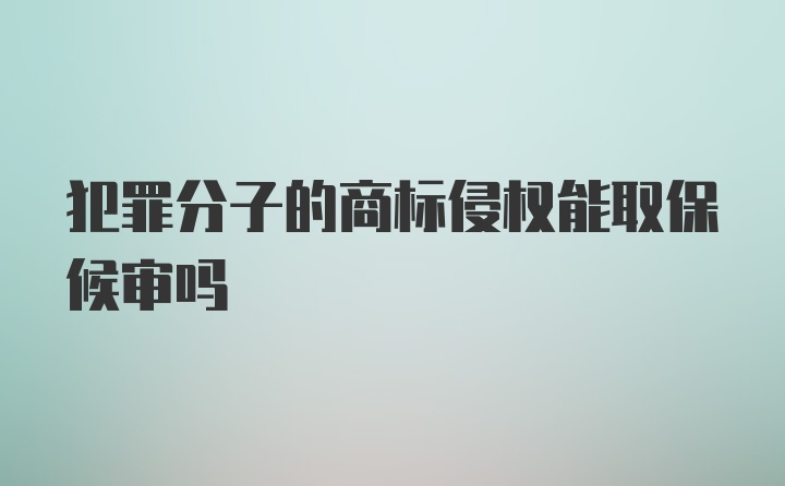 犯罪分子的商标侵权能取保候审吗