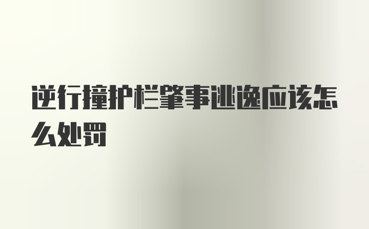 逆行撞护栏肇事逃逸应该怎么处罚