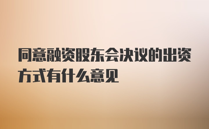 同意融资股东会决议的出资方式有什么意见