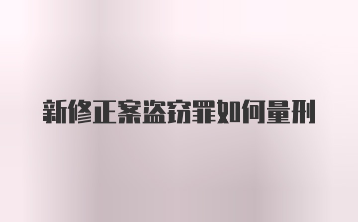 新修正案盗窃罪如何量刑