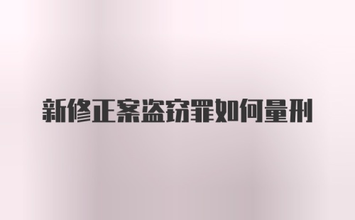 新修正案盗窃罪如何量刑