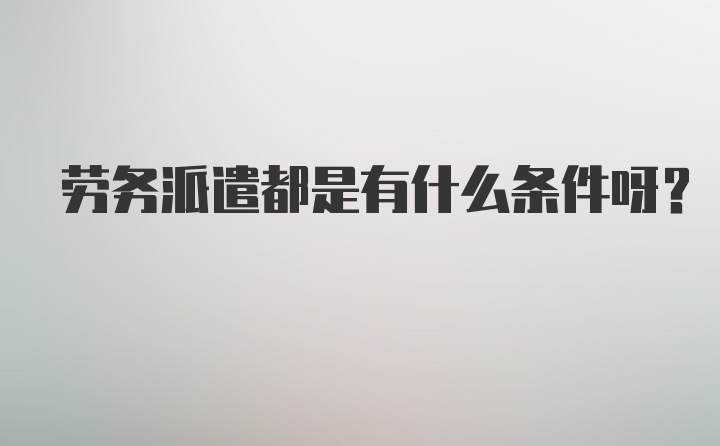 劳务派遣都是有什么条件呀？