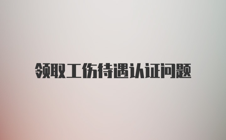 领取工伤待遇认证问题