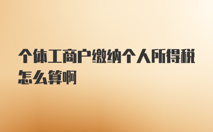 个体工商户缴纳个人所得税怎么算啊