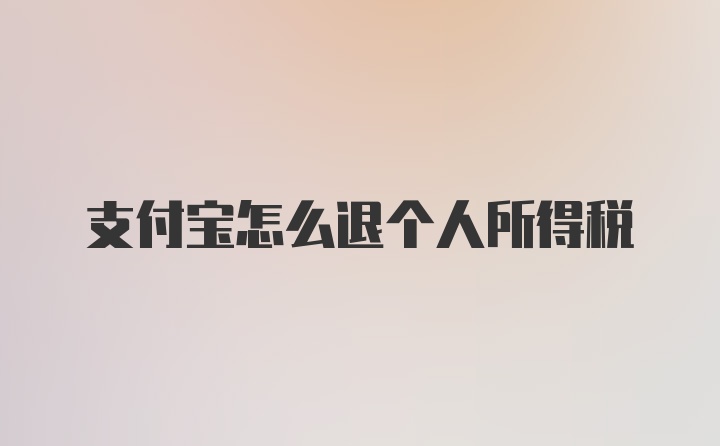 支付宝怎么退个人所得税