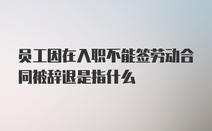 员工因在入职不能签劳动合同被辞退是指什么