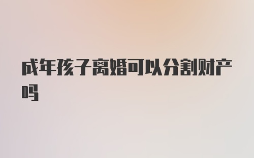 成年孩子离婚可以分割财产吗