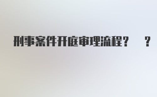 刑事案件开庭审理流程? ?