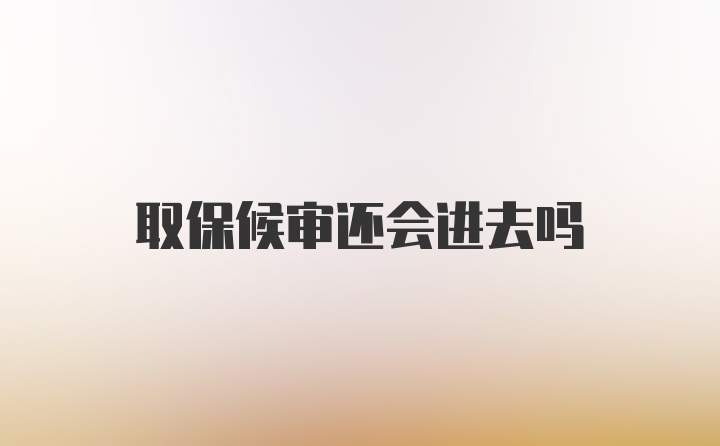 取保候审还会进去吗