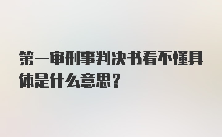 第一审刑事判决书看不懂具体是什么意思？