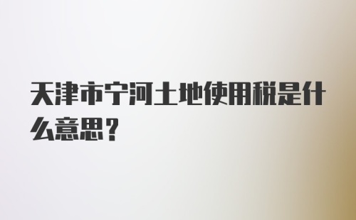 天津市宁河土地使用税是什么意思?