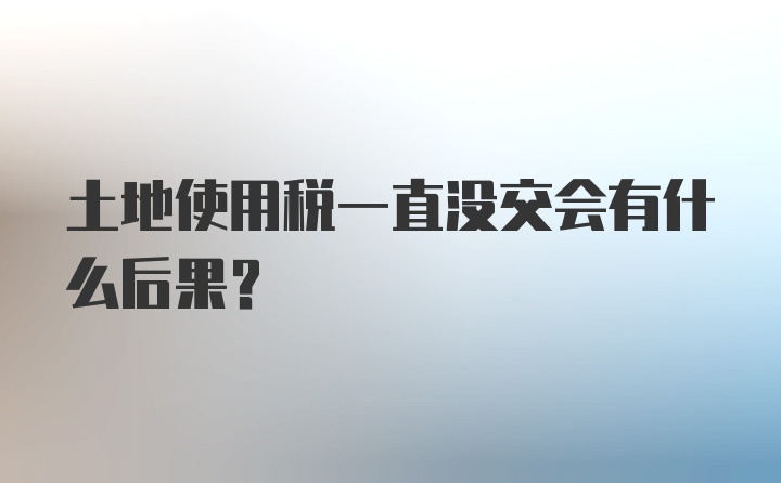 土地使用税一直没交会有什么后果？