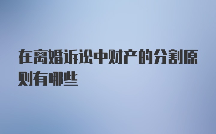 在离婚诉讼中财产的分割原则有哪些