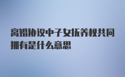 离婚协议中子女抚养权共同拥有是什么意思