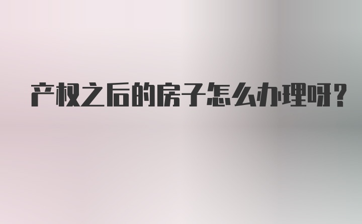 产权之后的房子怎么办理呀？