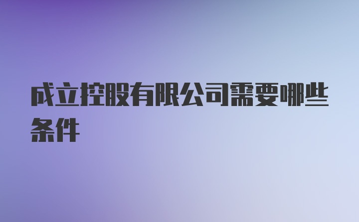 成立控股有限公司需要哪些条件